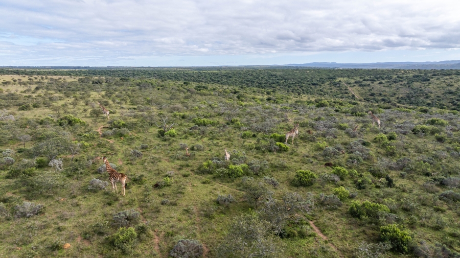 5 Bedroom Property for Sale in Grahamstown Rural Eastern Cape